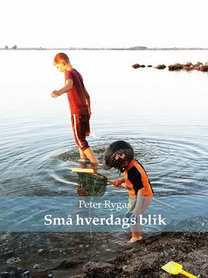 cover image of Små hverdags blik
